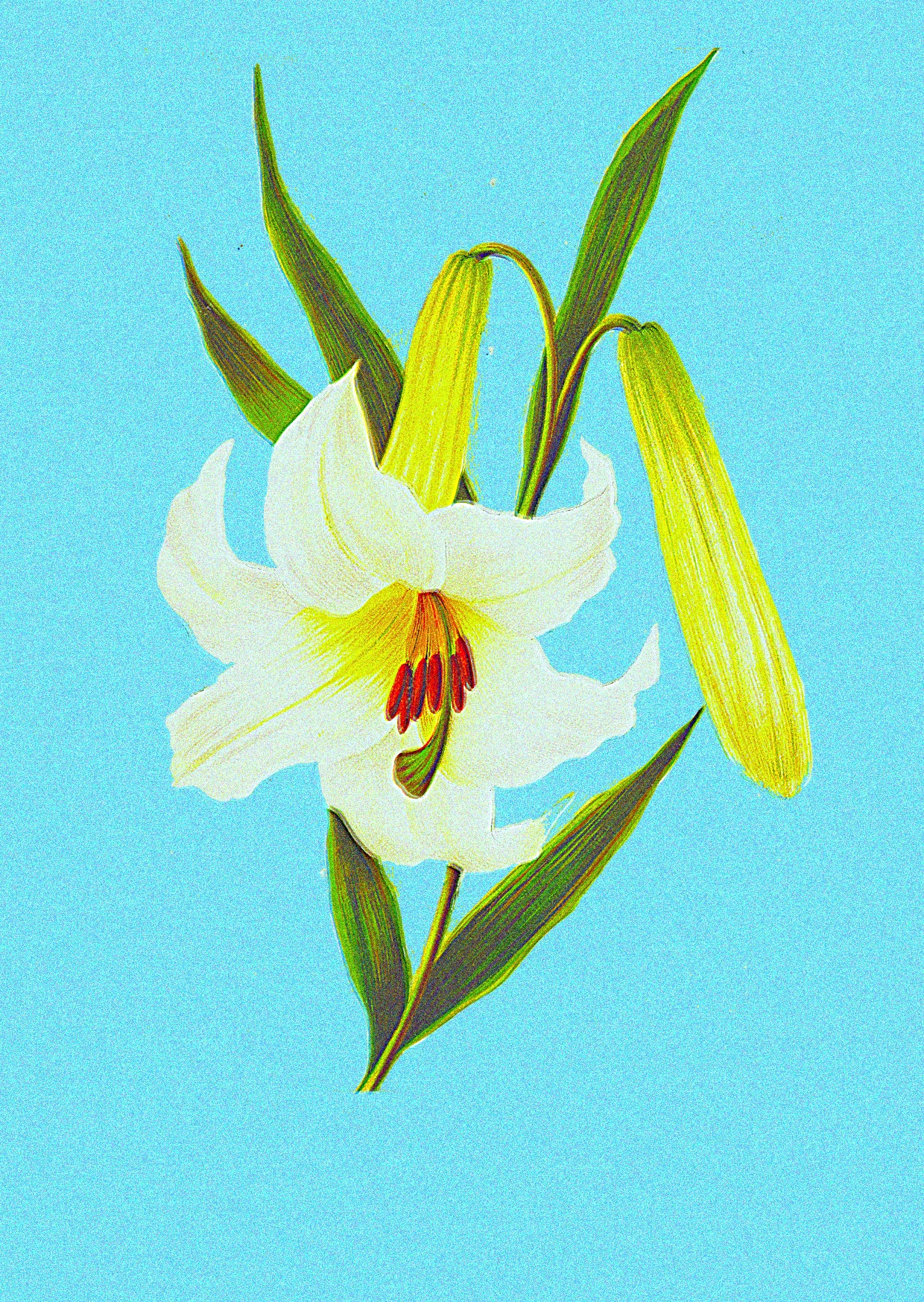 Despre contexte fertile și ce putem face cu ele